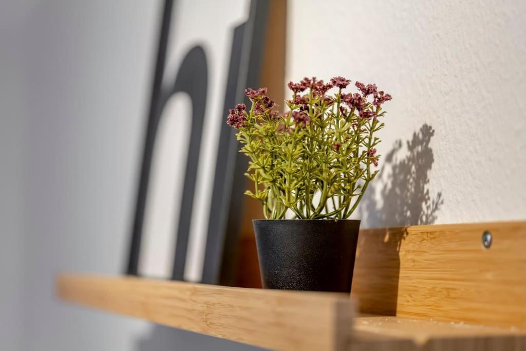 Himmlische Altstadt-Maisonette Marburg Esterno foto